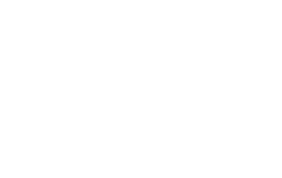 Bureau of Automotive Repair white Logo